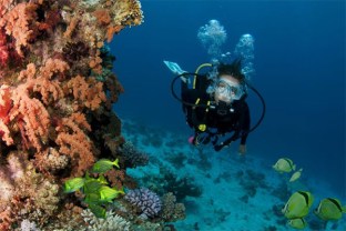 scuba-certified