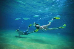 snorkeling-arch