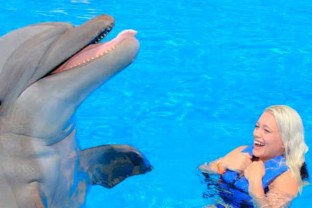 vip-signature-swim